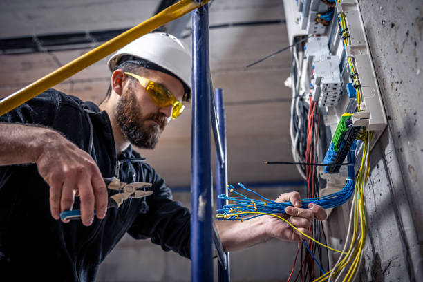 Best Generator Installation Services  in Trowbridge Park, MI