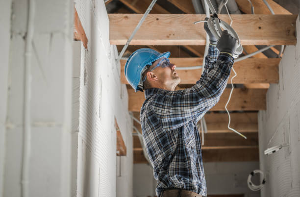 Best Home Electrical Repair  in Trowbridge Park, MI