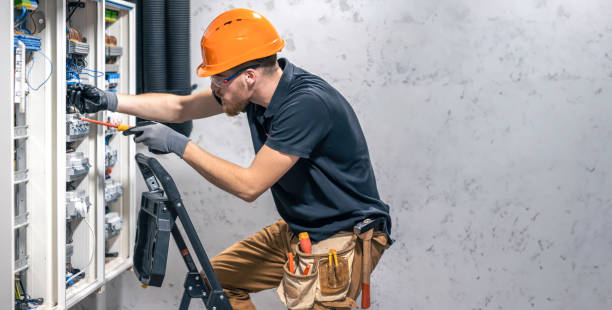 Best Electrical Troubleshooting Services  in Trowbridge Park, MI